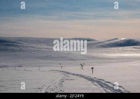 Ein Ski- und Motorschlittenweg in Richtung Ammarnas von der Serve Berghütte, März, Schwedisch Lappland Stockfoto