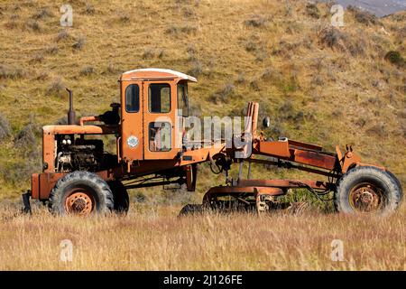 Altklässler in der Nähe von Omarama, Nord-Otago, Südinsel, Neuseeland Stockfoto