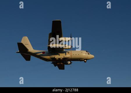 Eine japanische Marine Self Defence Force (JMSDF) Lockheed C-130R Hercules flog in der Nähe der NAF Atsugi Luftwaffenbasis. Kanagawa, Japan. Stockfoto