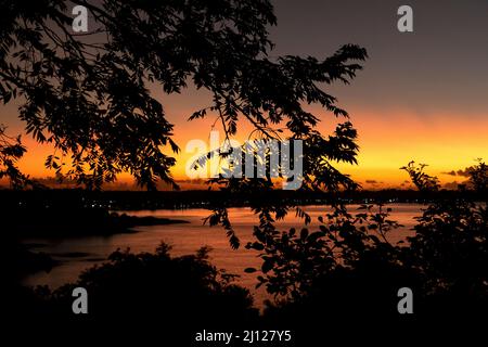 Silhouette von Bäumen mit einem schönen Sonnenaufgang in Anchieta, Bundesstaat Espirito Santo, Brasilien Stockfoto