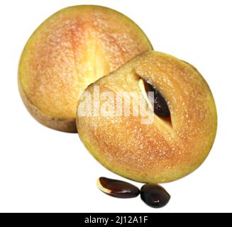 Sapodilla Obst isoliert auf weißem Hintergrund Stockfoto