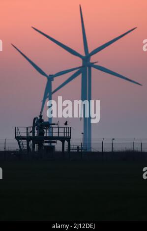 21. März 2022, Sachsen-Anhalt, Bad Lauchstädt: Windturbinen rotieren hinter den Oberflächenanlagen eines unterirdischen Gasspeichers der VNG AG. Hier wird das Gas in großen Hohlräumen (Kavernen) im Salzturm oder in porösem Gestein gespeichert. Die Diskussion über einen Stopp des russischen Gasangebots lässt nicht nach. Foto: Jan Woitas/dpa-Zentralbild/dpa Stockfoto