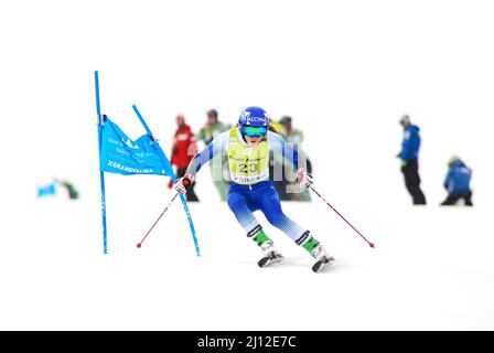 Soldeu, Andorra, Andorra. 19. März 2022. Die niederländische Alpinskifahrerin Adriana Jelinkova tritt beim WomenÃs Riesenslalom FIS European Cup Finale an. (Bild: © Brisa Palomar/Pacific Press via ZUMA Press Wire) Stockfoto