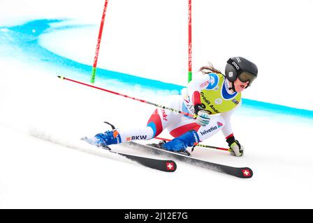 Soldeu, Andorra, Andorra. 19. März 2022. Die Schweizer Alpinskifahrerin Leana Barmettler tritt beim WomenÃs Riesenslalom FIS European Cup Finals an. (Bild: © Brisa Palomar/Pacific Press via ZUMA Press Wire) Stockfoto