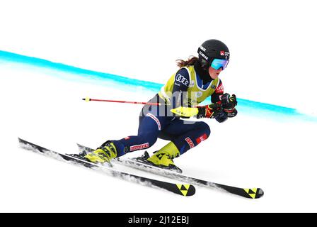 Soldeu, Andorra, Andorra. 19. März 2022. Die schwedische Alpinskifahrerin Lisa Nyberg tritt beim WomenÃs Riesenslalom FIS European Cup Finals an. (Bild: © Brisa Palomar/Pacific Press via ZUMA Press Wire) Stockfoto