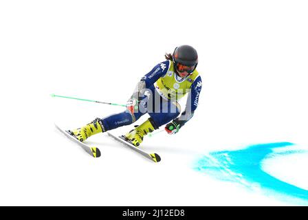 Soldeu, Andorra, Andorra. 19. März 2022. Die schwedische Alpinskifahrerin Lisa Nyberg tritt beim WomenÃs Riesenslalom FIS European Cup Finals an. (Bild: © Brisa Palomar/Pacific Press via ZUMA Press Wire) Stockfoto