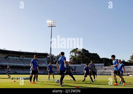 Sydney, Australien. 21. März 2022. Japan Team Group Football/Japan National Team während eines Trainings vor der FIFA WM Katar 2022 Asian Qualifier FINALE Runde Gruppe B Spiel gegen Australien im Netstrata Jubilee Stadium in Sydney, Australien . Quelle: AFLO/Alamy Live News Stockfoto