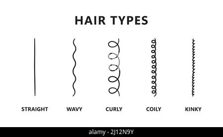 Klassifizierung der Haartypen - gerade, wellig, lockig, coily, kinky. Schema der verschiedenen Arten von Haaren. Lockiges Mädchen Methode. Vektorgrafik auf Weiß Stock Vektor