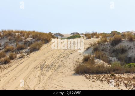 Fahrt durch die sich bewegenden Sanddünen im Donana National Park in der Nähe der Atlantikküste Stockfoto