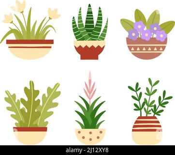Heimisch Pflanzen in Töpfen. Botanische Sukkulenten, blühende Blüten mit grünen Blättern. Hausdekoration, Home Garten Elemente Stock Vektor