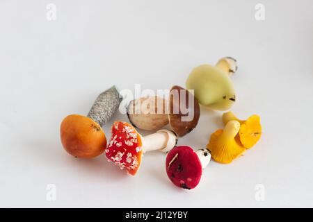 Miniaturfiguren von Espenpilzen, Heidelbeere, Pfifferlinge, Fliegenpilz, Syroezhka, Blasser Toadstool auf weißem, isoliertem Hintergrund Stockfoto