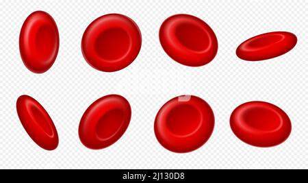 Rote Blutkörperchen. Mikrobiologische medizinische Erythrozyten, mikroskopische Elemente isoliert auf transparent. Gesundheitskonzept Stock Vektor