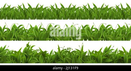 Realistischer Rasen, Wiesenkräuter oder Feld nahtlose Grenze. 3D Frühlingsgras, Unkraut und grüne Pflanzenblätter. Bauernhof oder Garten Sprossen Vektor-Set Stock Vektor