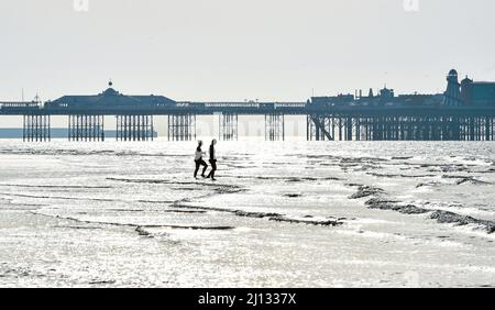 Brighton UK 22. March 2022 - Schwimmer genießen einen schönen sonnigen Morgen und eine zusätzliche Ebbe in Brighton, da das warme, sonnige Wetter in ganz Großbritannien anhalten wird, wobei die Temperaturen die hohen Teenager im Südosten erreichen: Credit Simon Dack / Alamy Live News Stockfoto