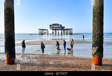 Brighton UK 22. March 2022 - Hundewanderer genießen einen schönen, sonnigen Morgen und eine extra Ebbe am West Pier von Brighton, da das warme, sonnige Wetter in ganz Großbritannien anhalten wird und die Temperaturen die hohen Teenager im Südosten erreichen werden: Credit Simon Dack / Alamy Live News Stockfoto