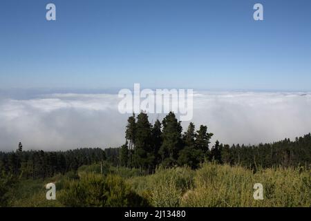 Dunst und Nebel in den Teno-Bergen der kanarischen Insel Teneriffa mit einer Nebelwand im Tal Stockfoto