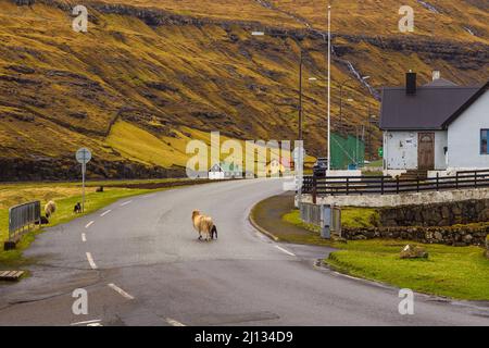 Leynar, Färöer, Dänemark - 05. Mai 2018: Kleines Dorf Leynar am Hang des Berges auf der Insel Streymoy. Schafe auf der Straße. Stockfoto