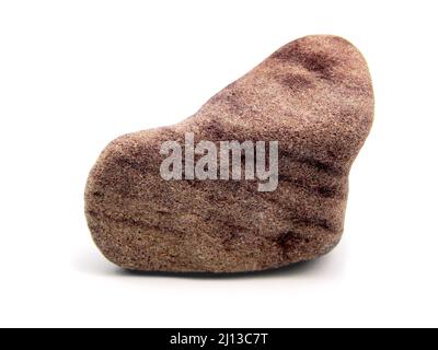 Sandstein aus Meereskiesel. Nahaufnahme. Isoliert auf weißem Hintergrund. Stockfoto