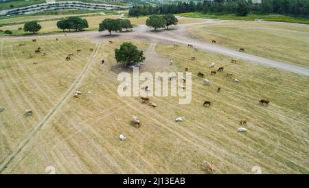 Luftaufnahme eines ländlichen Dorfes in Israel die überhöhte Nachfrage nach Vorstädten fordert das offene und ackbare Land im Land Stockfoto