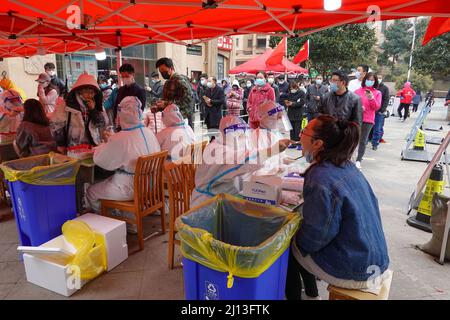 Changzhou, China. 19. März 2022. Eine medizinische Mitarbeiterin nimmt eine Abstrichprobe einer Frau zum Nukleinsäuretest an einer COVID-19-Teststelle im Bezirk Xinbei in Changzhou. Um die Ausbreitung von COVID-19 So bald wie möglich zu kontrollieren, hat die Stadtverwaltung von Changzhou beschlossen, vom 19. Bis 24. März alle Geschäfte außer in den Bezirken Liyang und Jintan zu schließen, und alle Bewohner werden auf COVID-19 getestet. (Foto von Sheldon Cooper/SOPA Images/Sipa USA) Quelle: SIPA USA/Alamy Live News Stockfoto