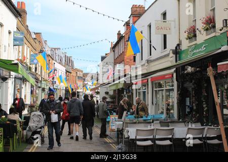 Church Street in Twickenham unter den Flaggen der Ukraine Stockfoto