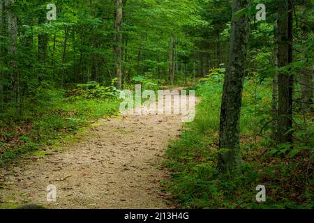 Door County Wisconsin ist eines der Top-Reiseziele für Touristen, Reisen und Wohnmobile im Mittleren Westen. Mit unbegrenzten Möglichkeiten für verschiedene Wanderungen. Stockfoto