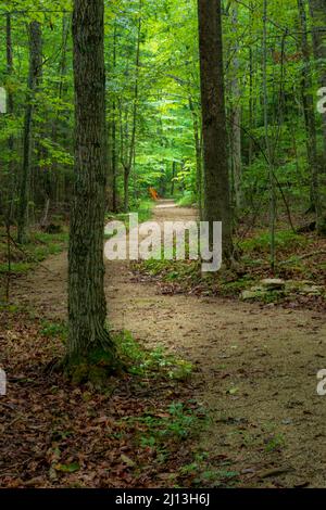 Door County Wisconsin ist eines der Top-Reiseziele für Touristen, Reisen und Wohnmobile im Mittleren Westen. Mit unbegrenzten Möglichkeiten für verschiedene Wanderungen. Stockfoto