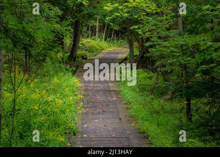 Door County Wisconsin ist eines der Top-Reiseziele für Touristen, Reisen und Wohnmobile im Mittleren Westen. Mit unbegrenzten Möglichkeiten für verschiedene Wanderungen. Stockfoto