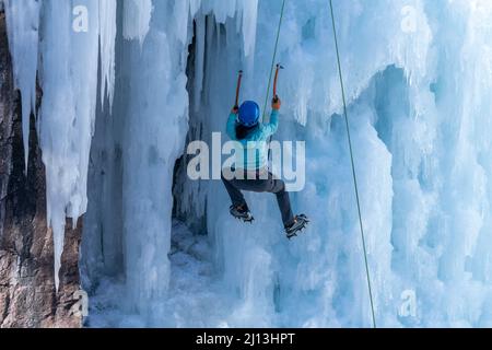 Eine Eiskletterin, die im Ouray Ice Park in Colorado mit Eispickeln und Steigeisen eine Eiswand bestiegen hat. Stockfoto