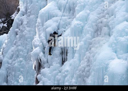 Eine Eiskletterin, die im Ouray Ice Park in Colorado mit Eispickeln und Steigeisen eine Eiswand bestiegen hat. Stockfoto