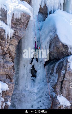 Eine Eiskletterin, die im Ouray Ice Park in Colorado mit Eispickeln und Steigeisen eine Eiswand bestiegen hat. Stockfoto