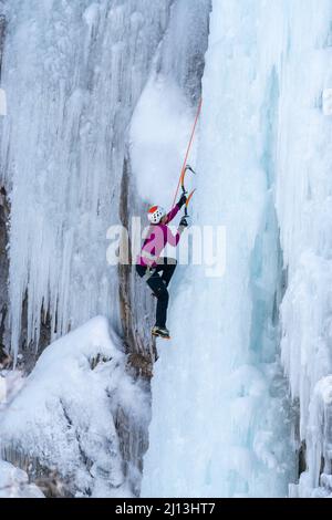 Eine Eiskletterin, die im Ouray Ice Park in Colorado mit Eispickeln und Steigeisen eine Eiswand bestiegen hat. Stockfoto