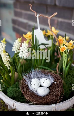 Drei kleine dekorative Eier liegen im Nest aus Zweigen, Frühlingsblumen, Narzissen, Schneeglöckchen wachsen herum. Stockfoto