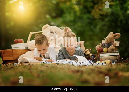 Jedes Buch ist eine Welt für sich selbst. Aufnahme eines kleinen Jungen und seiner Schwester beim Lesen im Wald. Stockfoto