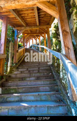 Alte und rustikale Holztreppe mit einem Holzdach. Draußen. Stockfoto