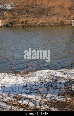 Goldene Gräser wachsen entlang der Küste an einem kalten, aber sonnigen Wintertag. Stockfoto