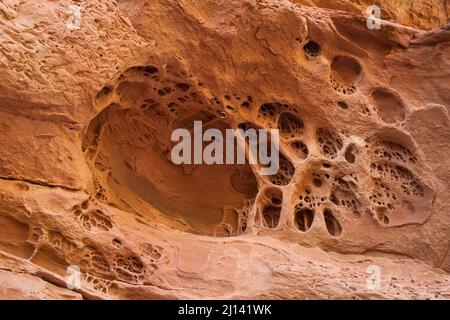 Felsenspitze oder Tafoni im erodierten Sandstein neben der Lace Ruin auf Cedar Mesa, Utah. Es wird auch Honigwaben- oder schweizer Käsefelsen genannt. Stockfoto