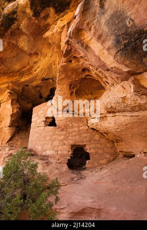 Die Lace Rock Ruin ist eine 1000 Jahre alte Ancestral Puebloan Klippe, die auf Cedar Mesa im Südosten Utahs wohnt. Sein Name stammt aus dem Abschnitt des Felsens l Stockfoto