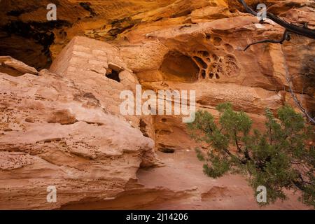 Die Lace Rock Ruin ist eine 1000 Jahre alte Ancestral Puebloan Klippe, die auf Cedar Mesa im Südosten Utahs wohnt. Sein Name stammt aus dem Abschnitt des Felsens l Stockfoto