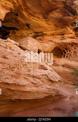 Die Lace Rock Ruin ist eine 1000 Jahre alte Ancestral Puebloan Klippe, die auf Cedar Mesa im Südosten Utahs wohnt. Sein Name stammt aus dem Abschnitt des Felsens l Stockfoto