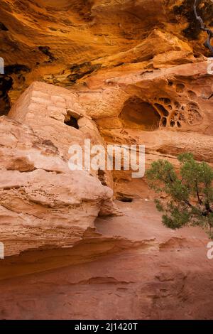 Die Lace Rock Ruin ist eine 1000 Jahre alte Ancestral Puebloan Klippe, die auf Cedar Mesa im Südosten Utahs wohnt. Sein Name stammt aus dem Abschnitt des Felsens l Stockfoto