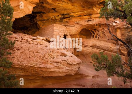 Die Lace Rock Ruin ist eine 1000 Jahre alte Ancestral Puebloan Klippe, die auf Cedar Mesa im Südosten Utahs wohnt. Sein Name stammt aus dem Abschnitt des Felsens l Stockfoto