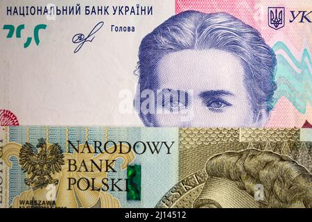 Auf dieser Fototafel sind polnische 500-Zloty-Banknoten und 200 ukrainische Hryvnias-Banknoten mit dem Bild von Lesya Ukrainka zu sehen. Stockfoto