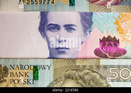 Polen. 08. März 2022. Auf dieser Fototafel sind polnische 500-Zloty-Banknoten und 200 ukrainische Hryvnias-Banknoten mit dem Bild von Lesya Ukrainka zu sehen. (Foto: Karol Serewis/SOPA Images/Sipa USA) Quelle: SIPA USA/Alamy Live News Stockfoto