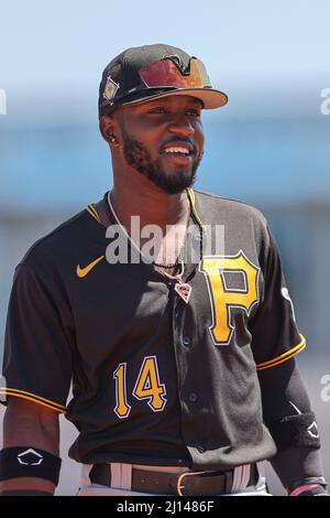 Port Charlotte, FL USA: Pittsburgh Pirates Dritter Baseman Rodolfo Castro (14) geht während eines Baseballspiels im Frühjahr gegen die T ins Dugout Stockfoto