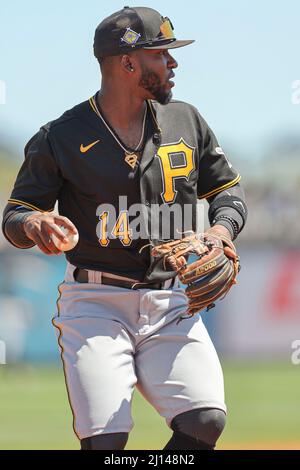 Port Charlotte, FL USA: Pittsburgh Pirates dritter Baseman Rodolfo Castro (14) Felder und wirft den ersten während eines Baseballspiels im Frühjahr Stockfoto