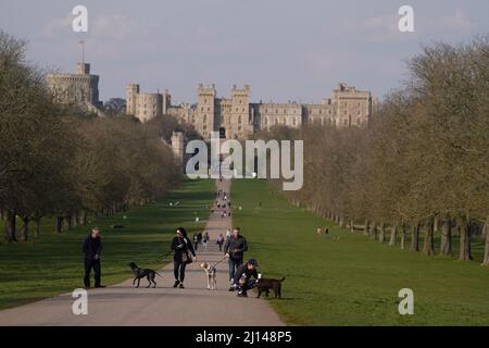 Menschen, die auf dem langen Spaziergang in Windsor, in der Grafschaft von Antshire, spazieren gehen. Bilddatum: Dienstag, 22. März 2022. Stockfoto