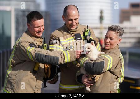 Feuerwehrleute nach einer Zeremonie auf der Westminster Bridge in London, um eine Gedenktafel zum fünften Jahrestag des Terroranschlags auf die Westminster Bridge zu enthüllen. Bilddatum: Dienstag, 22. März 2022. Stockfoto