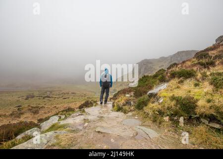 Rückansicht des Mannes, der im Nebel und Regen auf dem Berg im Snowdonia National Park, North Wales, Großbritannien, läuft, mit Wasserabzeichen und Rucksack auf dem Rücken trägt. Stockfoto