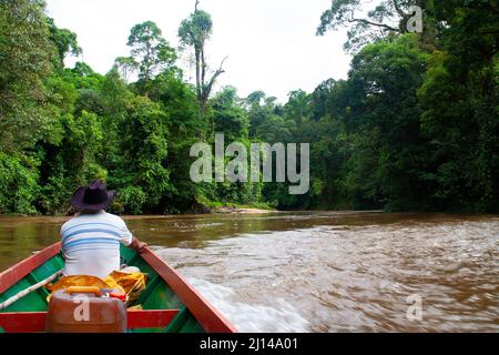 Bootsfahrt durch den tiefen Dschungel von Borneo Stockfoto